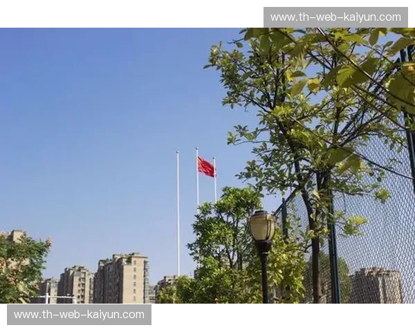 开云体育观赛礼仪的魅力与实践